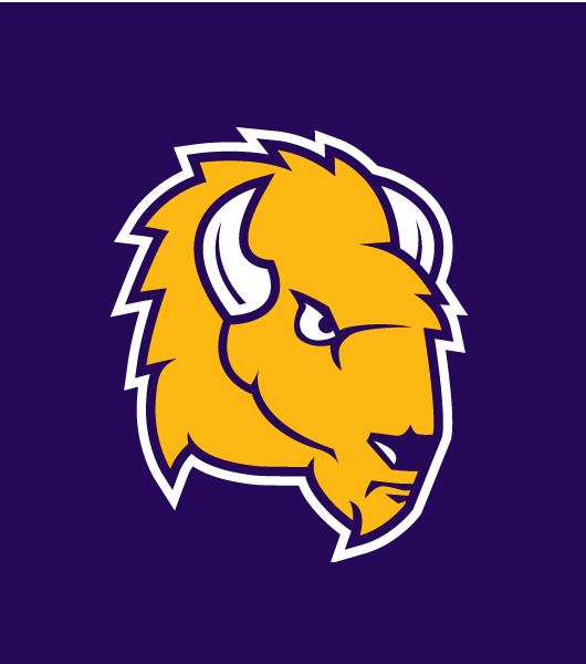 Lipscomb Bisons 2012-Pres Alternate Logo iron on transfers for clothing
